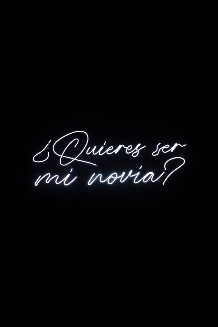 ¿QUIERES SER MI NOVIA?