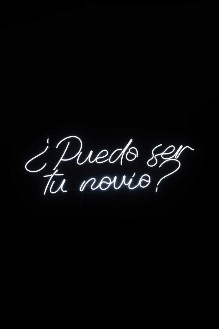 ¿PUEDO SER TU NOVIO?